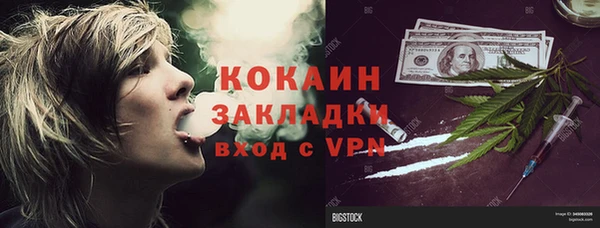 PSILOCYBIN Алзамай
