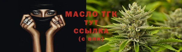 PSILOCYBIN Алзамай