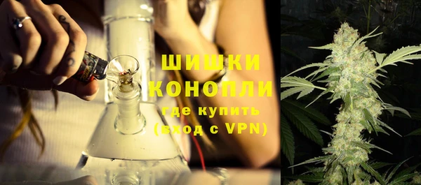 PSILOCYBIN Алзамай