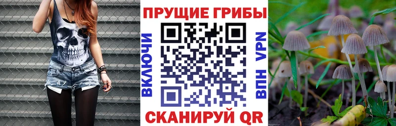 Галлюциногенные грибы ЛСД  Ардон 